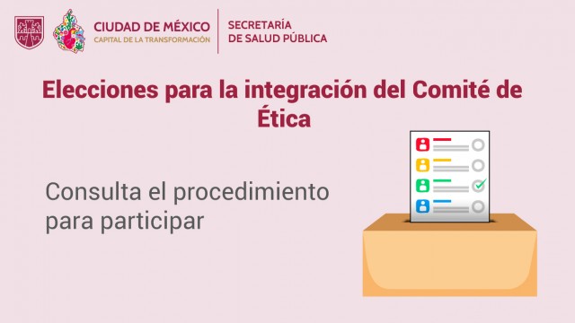 comite_procedimiento.jpg